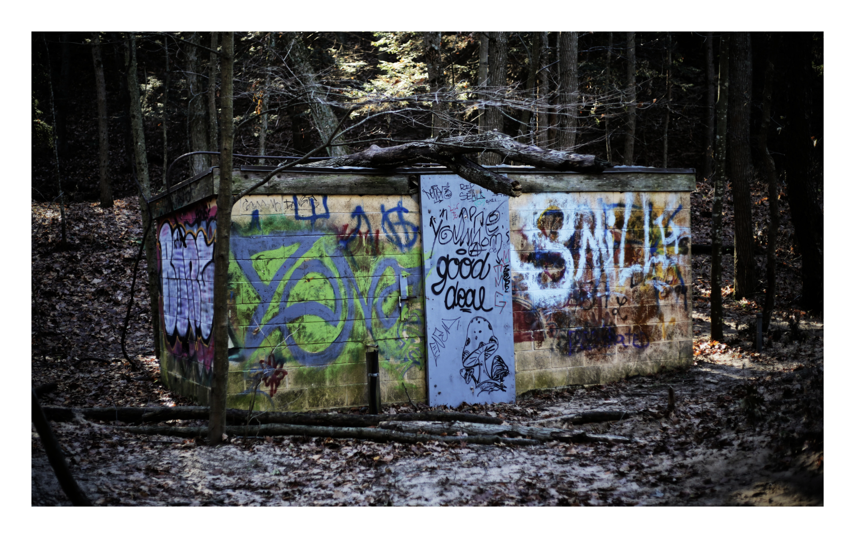 A small concrete structure in the woods covered in layered graffiti, surrounded by fallen leaves and bare trees.